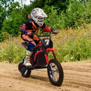 24V 350W Kids Electric Dirt Bike All Terrain