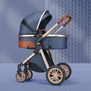New 2 in 1 Baby Stroller